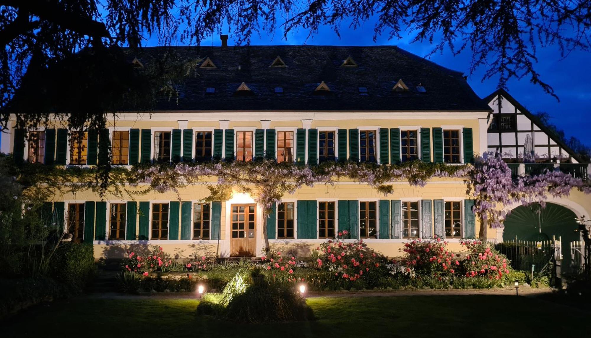 Unterkunft Im Weingut Fitz-Ritter バート・デュルクハイム エクステリア 写真