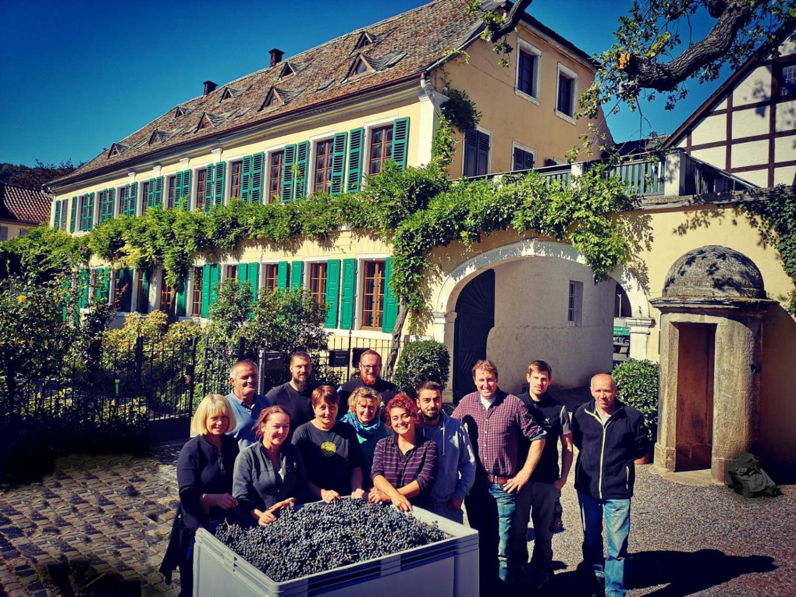 Unterkunft Im Weingut Fitz-Ritter バート・デュルクハイム エクステリア 写真