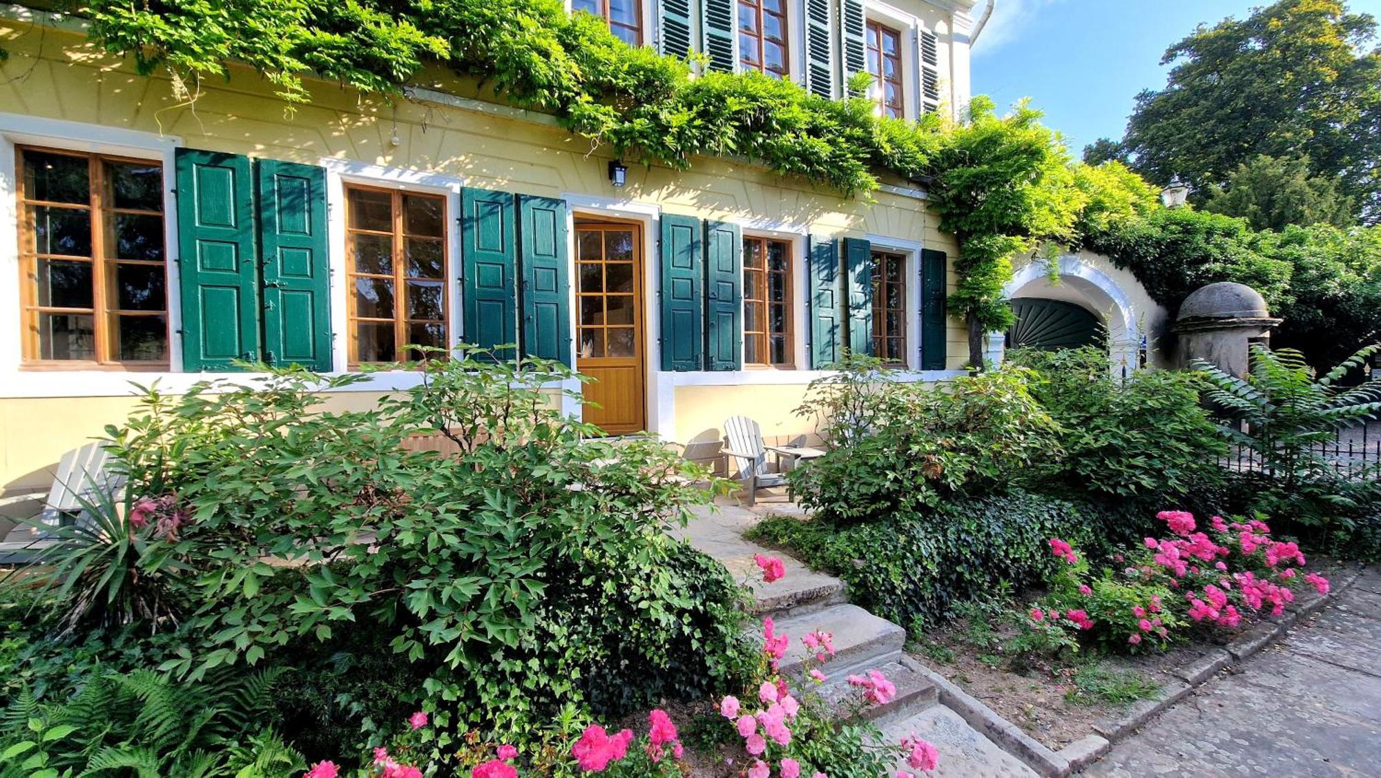 Unterkunft Im Weingut Fitz-Ritter バート・デュルクハイム 部屋 写真