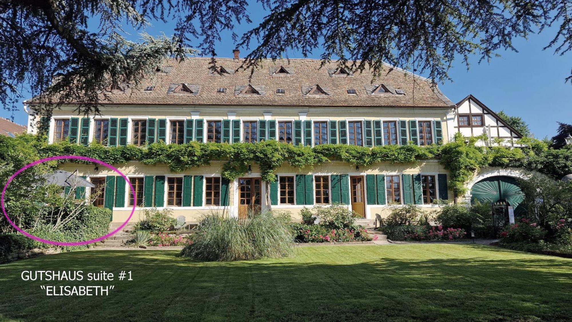 Unterkunft Im Weingut Fitz-Ritter バート・デュルクハイム 部屋 写真