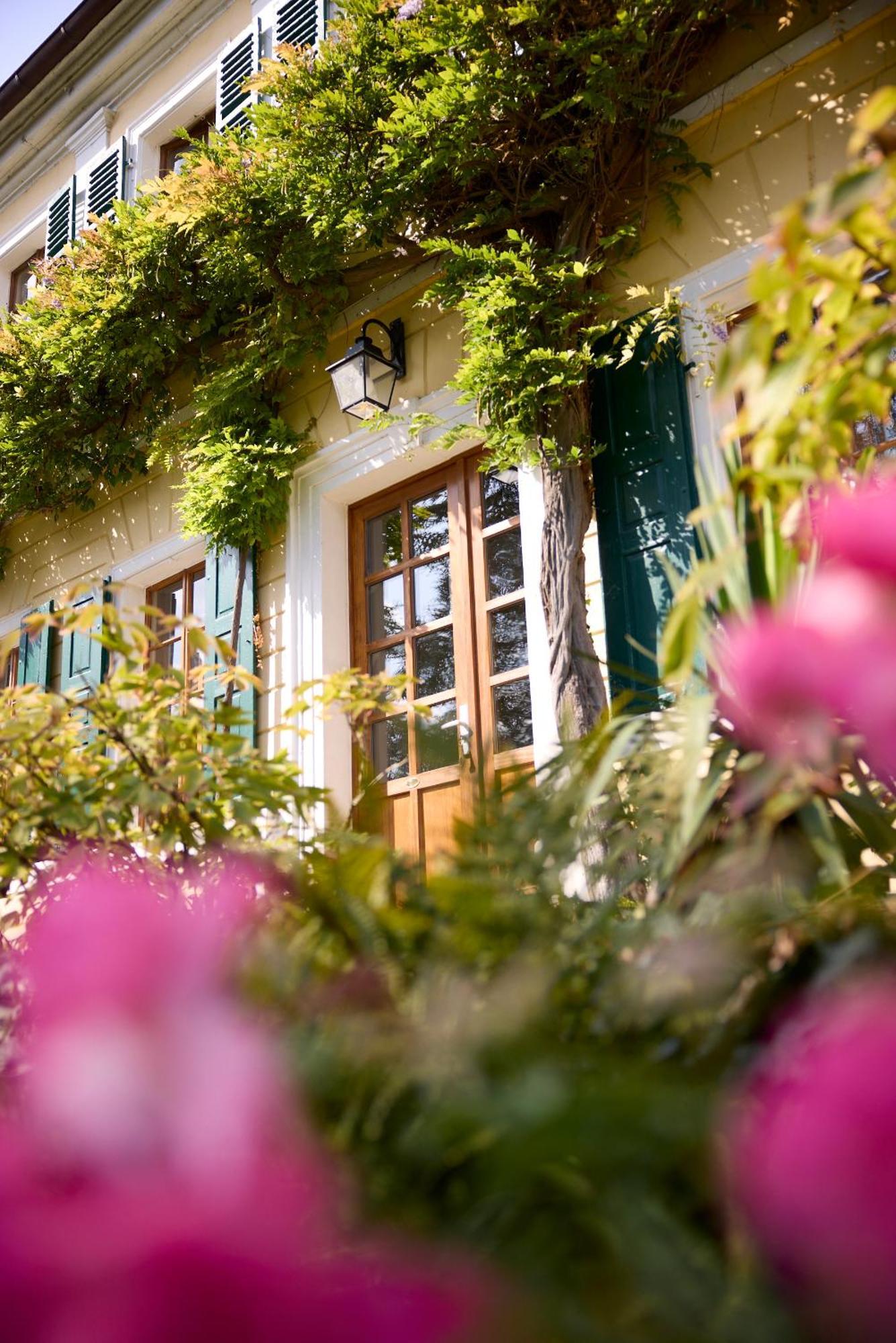 Unterkunft Im Weingut Fitz-Ritter バート・デュルクハイム 部屋 写真