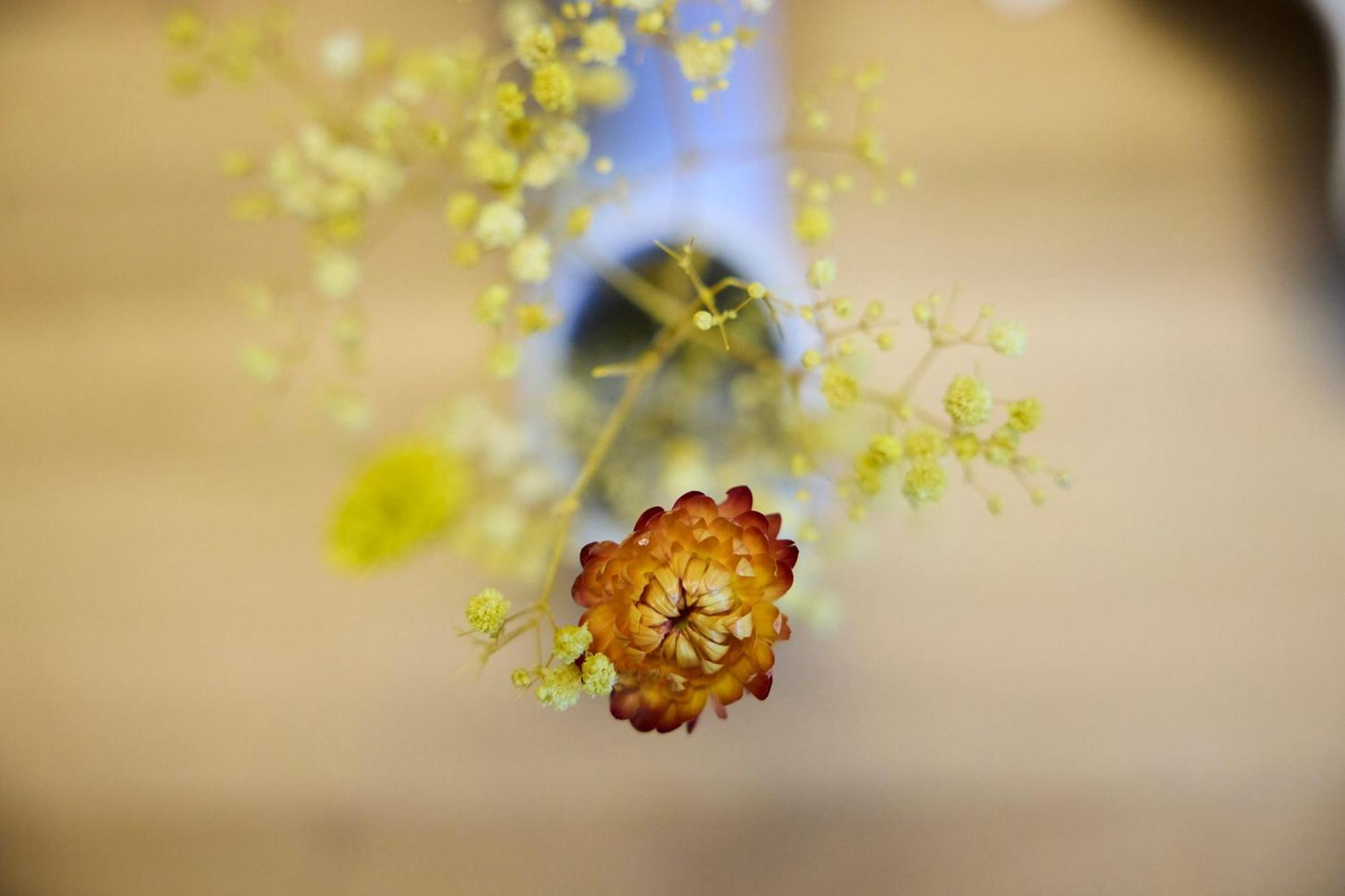 Unterkunft Im Weingut Fitz-Ritter バート・デュルクハイム 部屋 写真