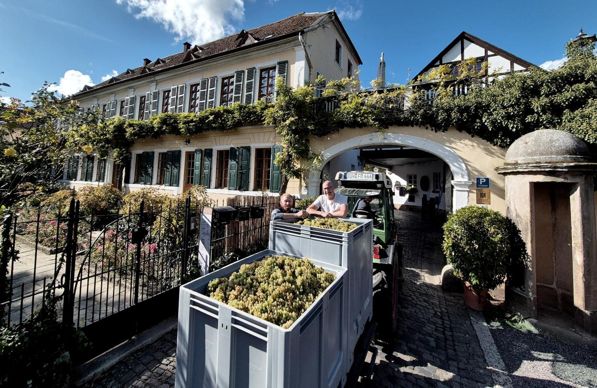 Unterkunft Im Weingut Fitz-Ritter バート・デュルクハイム エクステリア 写真